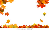 autumn-falling-maple-leaves-isolated-260nw-718996327