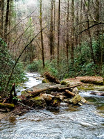 Duke's Creek Falls North Atlanta Helen Ga